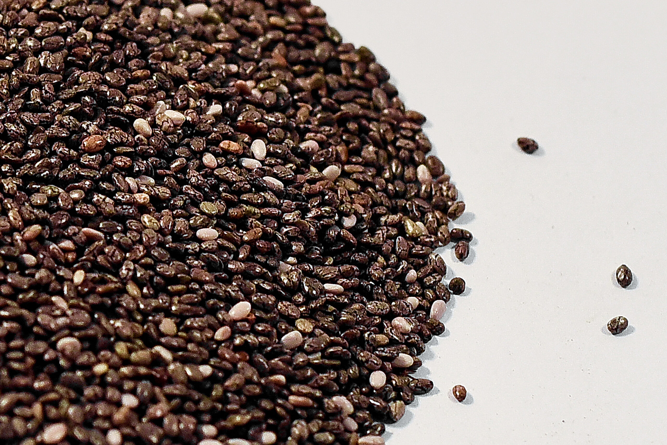 1 Indian Chia Seeds - Image 3