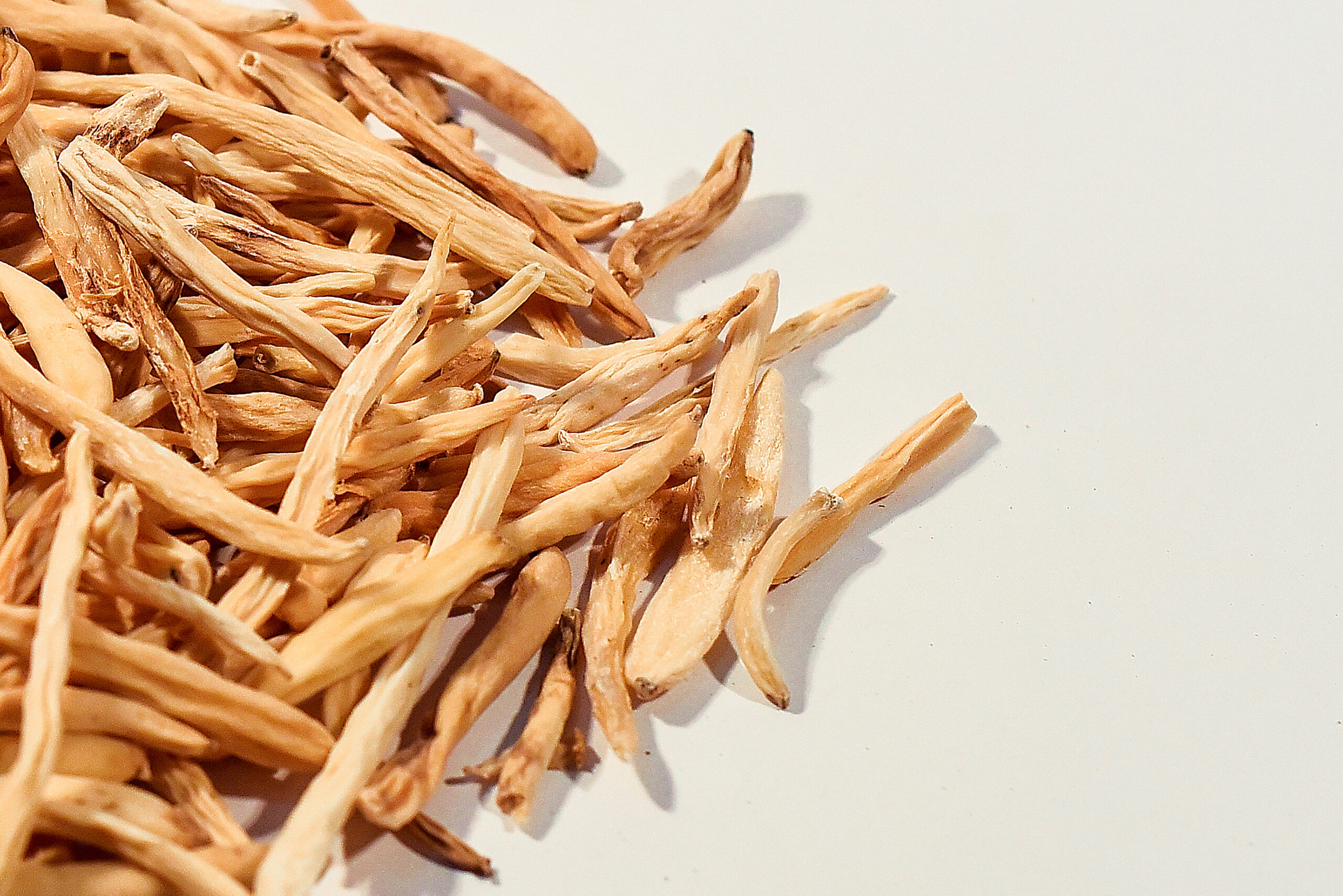 3 Indian Musli Safed - Image 3