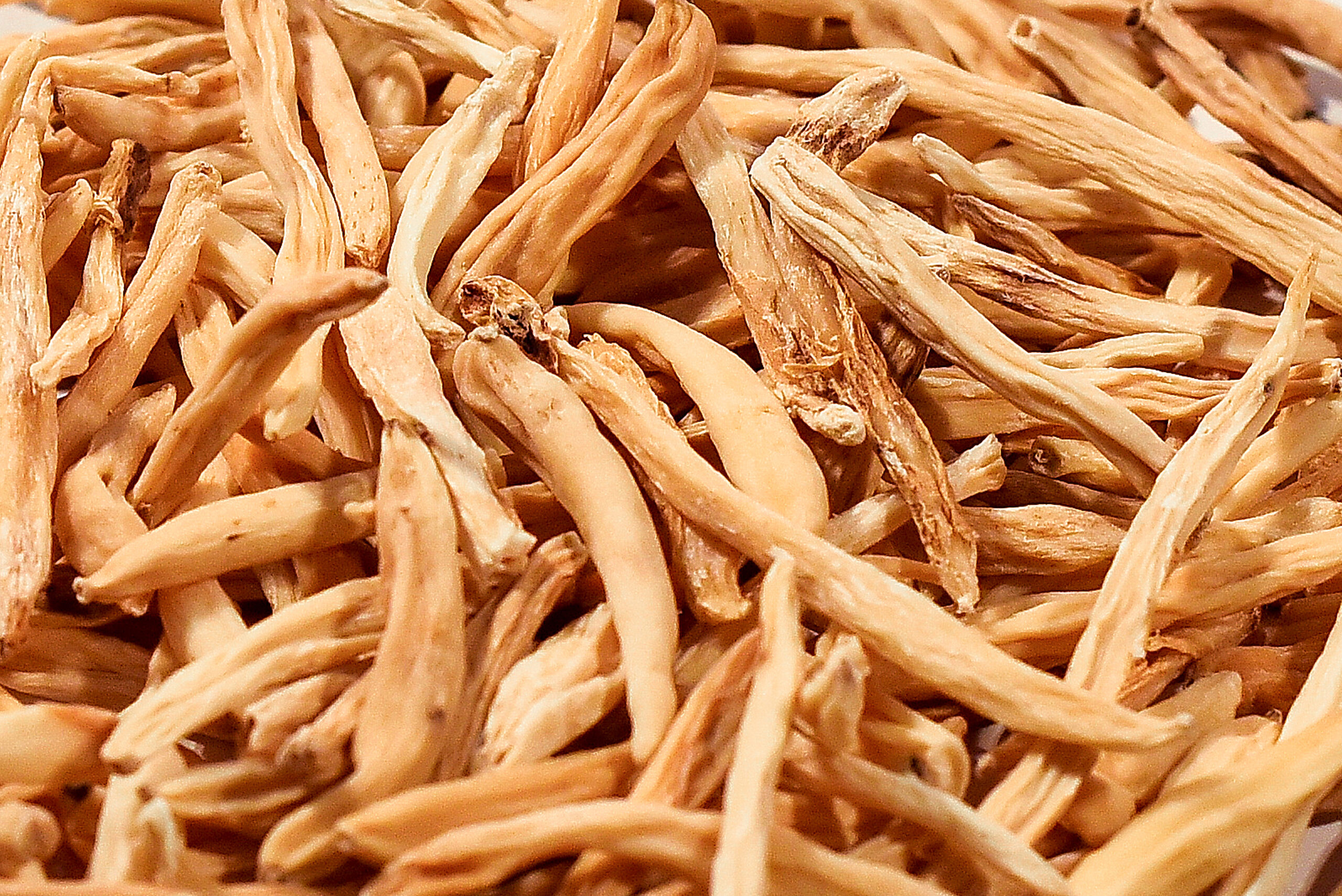 4 Indian Musli Safed - Image 4