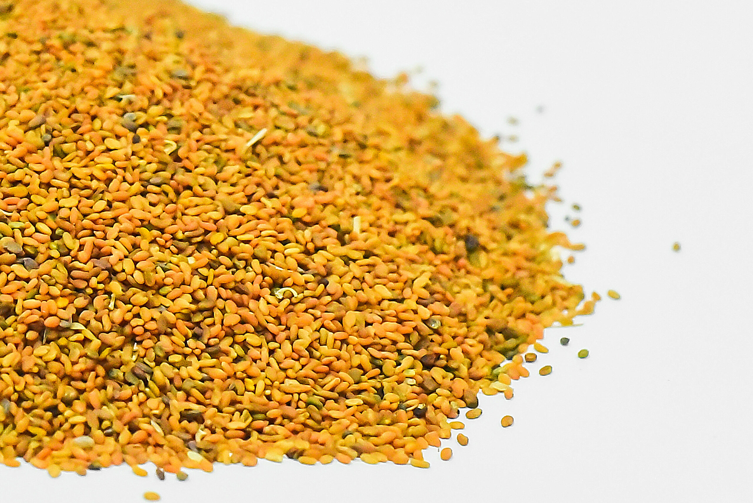 dsdsd Methi Dana Irani (میتھی دانہ) - Image 2